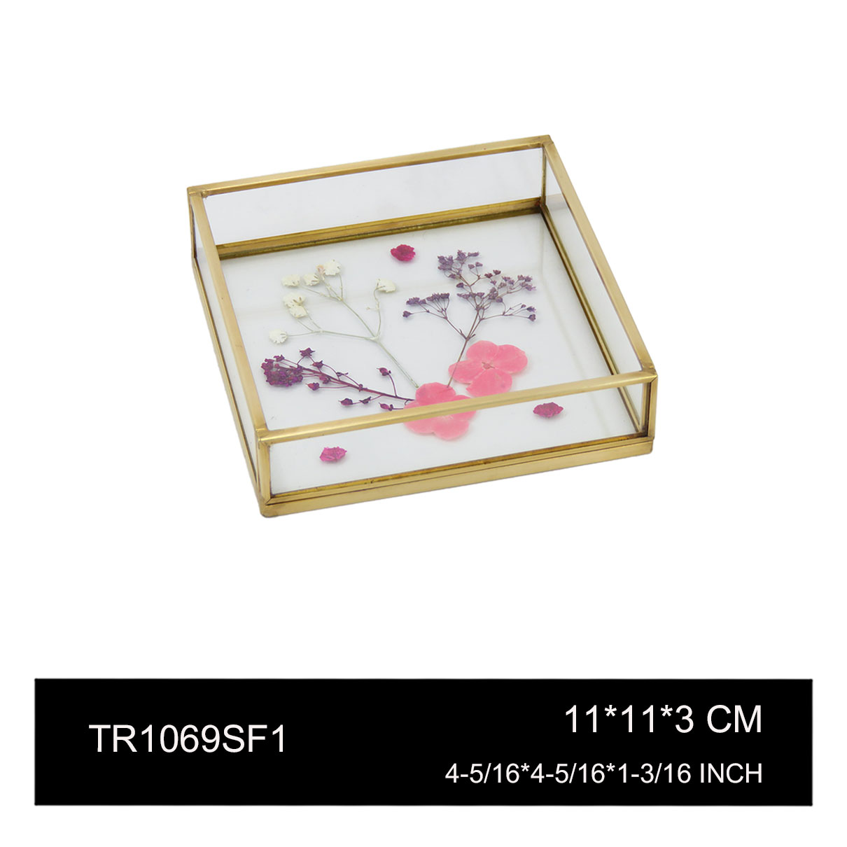 TR1069SF1